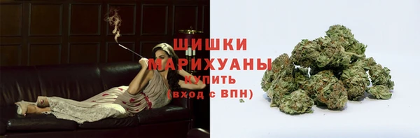 гидра Волоколамск