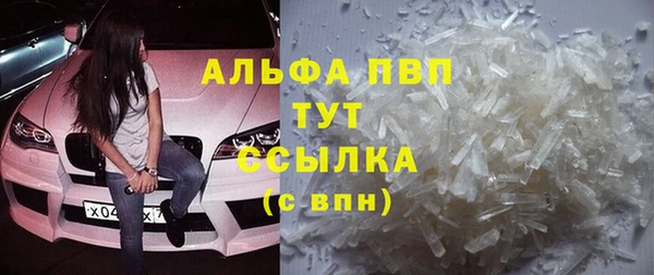 гидра Волоколамск