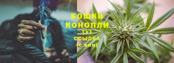 стафф Вязьма