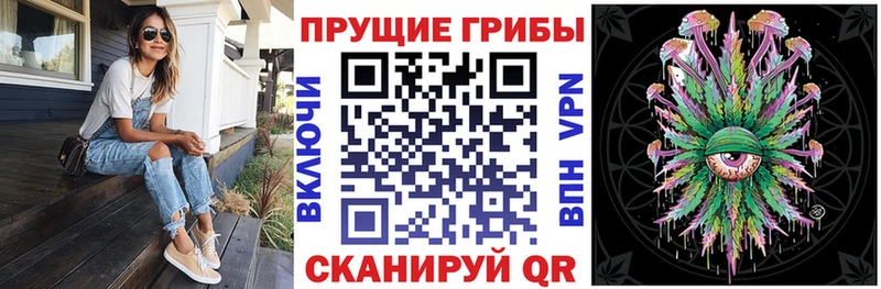 Купить Елизаветинская Псилоцибиновые грибы ЛСД